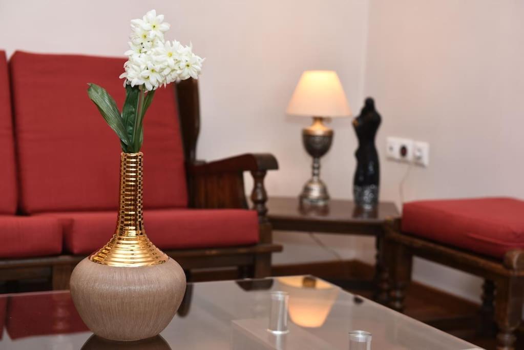 Family Cosy Vila, Swimming Pool, Close To Nauplio Monastiraki (Argolis)
